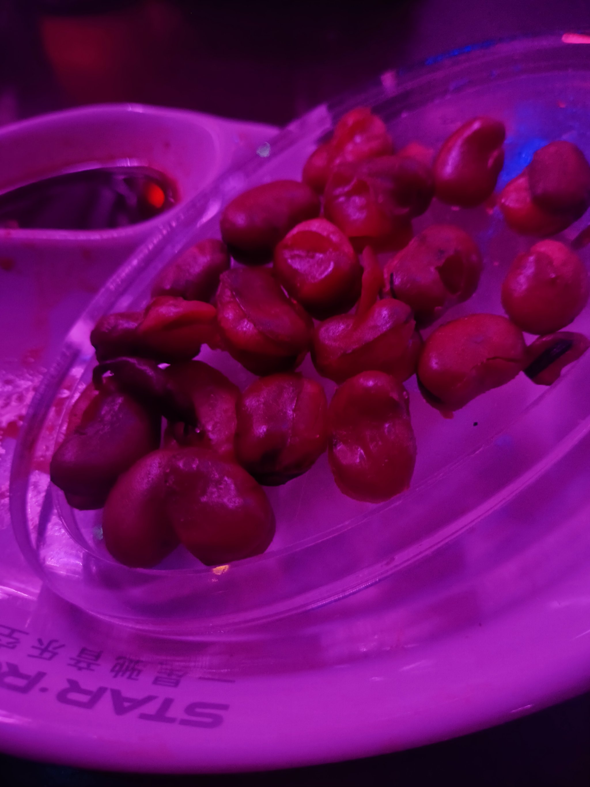 百色商务ktv专业商务ktv预订服务-右江区ktv预定